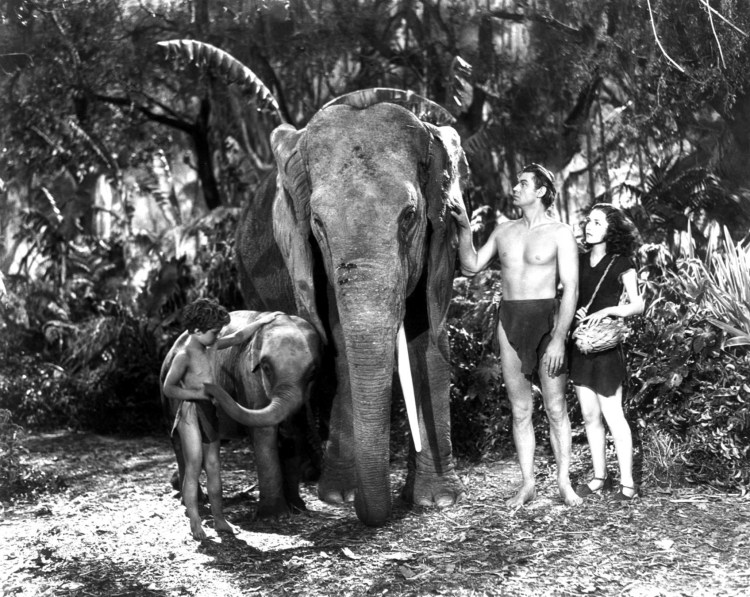 Johnny Sheffield 02 Tarzan Finds a Son scan