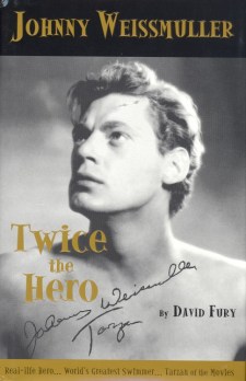 Fury, David - Twice the Hero